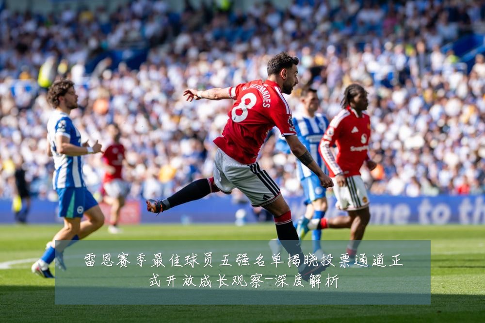 雷恩赛季最佳球员五强名单揭晓投票通道正式开放成长观察-深度解析